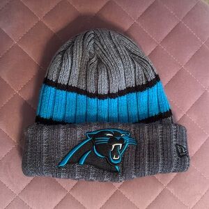 Carolina Panthers beanie